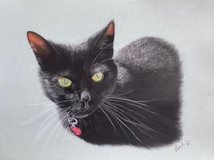A3 Pastel COLOUR Portraits (11" x 14" 28cm x 35cm)