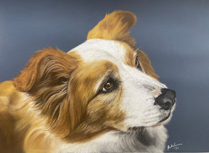 A2 Pastel COLOUR (16" x 20")