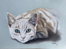 Load image into Gallery viewer, A3 Pastel COLOUR Portraits (11&quot; x 14&quot; 28cm x 35cm)

