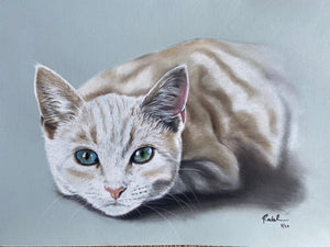 A3 Pastel COLOUR Portraits (11" x 14" 28cm x 35cm)