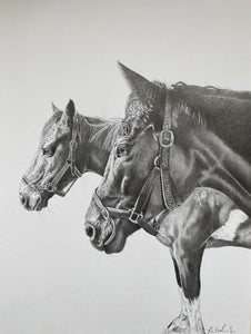 A4 Pencil Portraits (22.5cm x 30cm)
