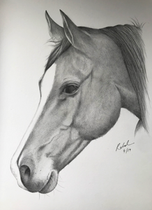 A4 Pencil Portraits (22.5cm x 30cm)