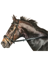 Load image into Gallery viewer, A3 Pastel COLOUR Portraits (11&quot; x 14&quot; 28cm x 35cm)
