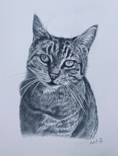 Load image into Gallery viewer, A3 Pencil Portraits (11&quot; x 14&quot; 28cm x 35cm)
