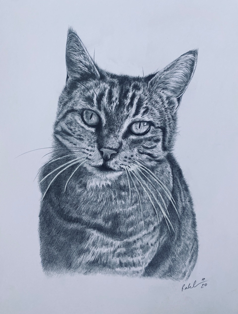 A3 Pencil Portraits (11