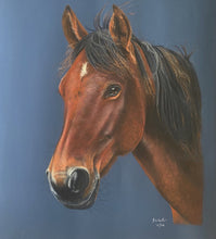 Load image into Gallery viewer, A3 Pastel COLOUR Portraits (11&quot; x 14&quot; 28cm x 35cm)
